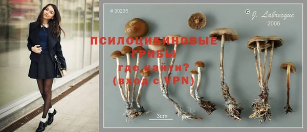 дурь Новодвинск