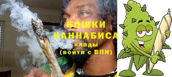 МДПВ Новозыбков