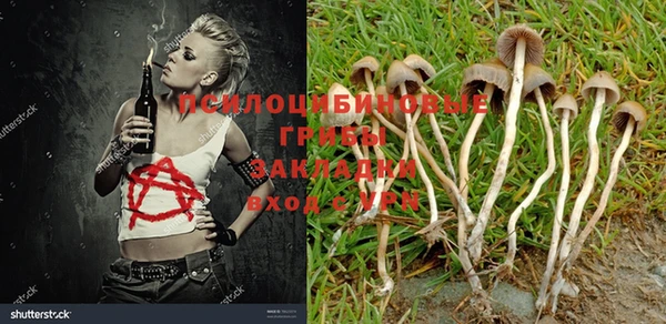мдпв Нефтекумск