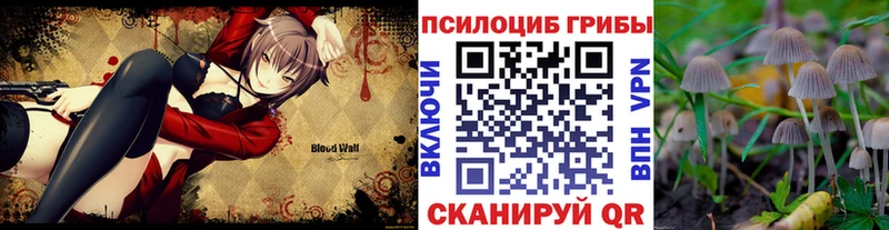 Псилоцибиновые грибы Psilocybine cubensis  где можно купить наркотик  Ипатово 