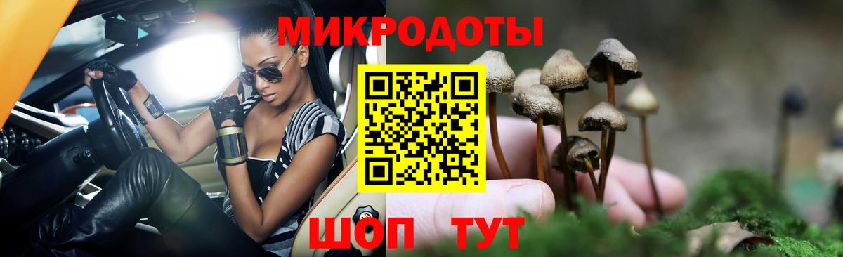 Ипатово  Псилоцибиновые грибы Psilocybe  Вход с VPN 