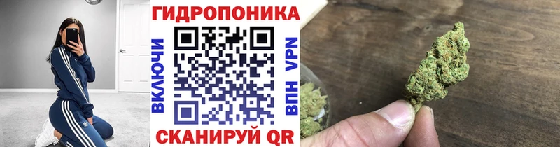 Бошки марихуана White Widow  hydra   Ипатово 
